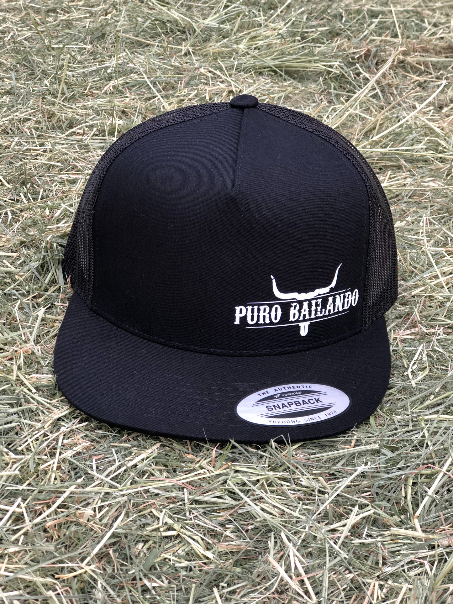 NEW Puro Bailando (Snapback)