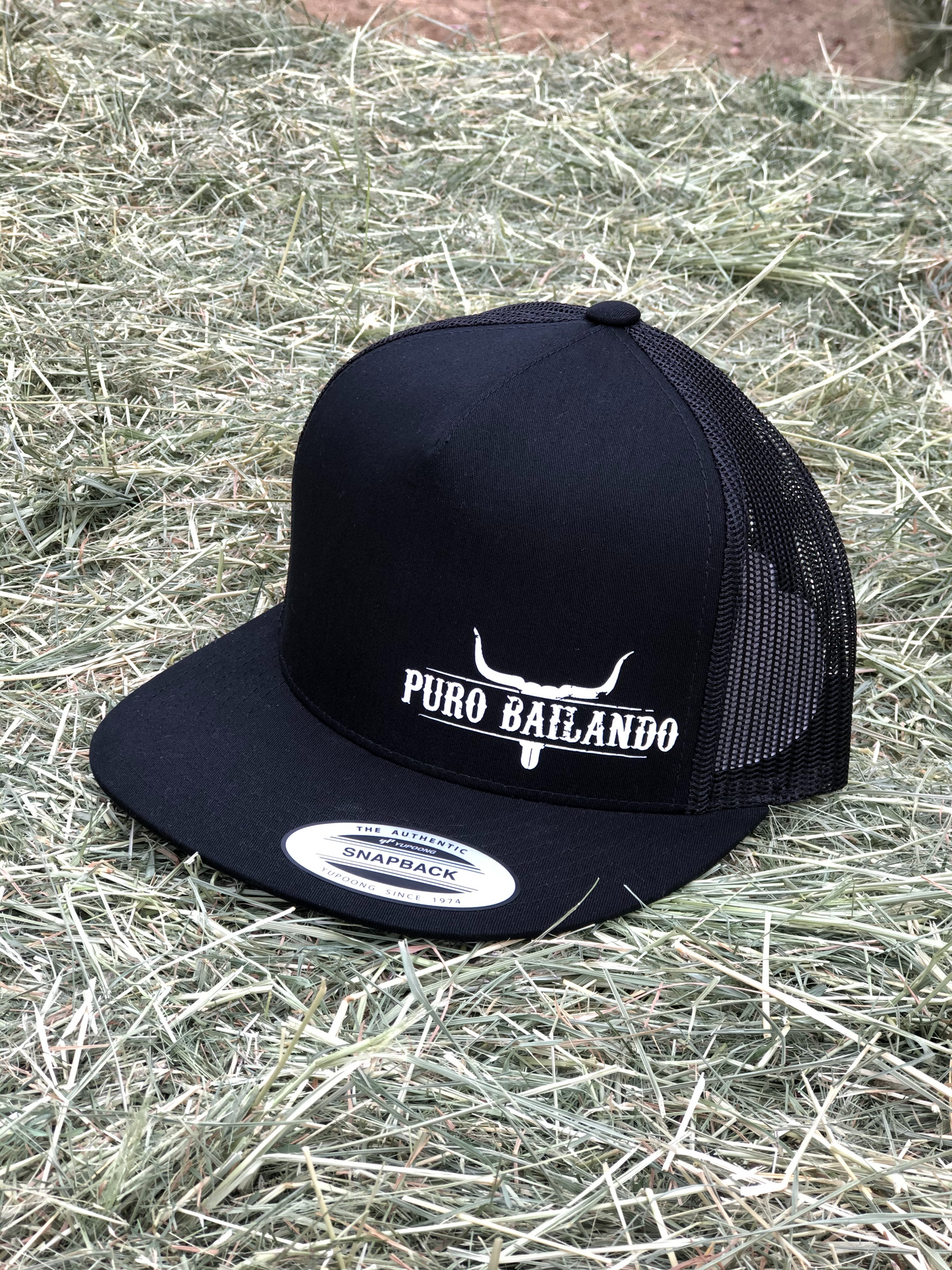NEW Puro Bailando (Snapback)